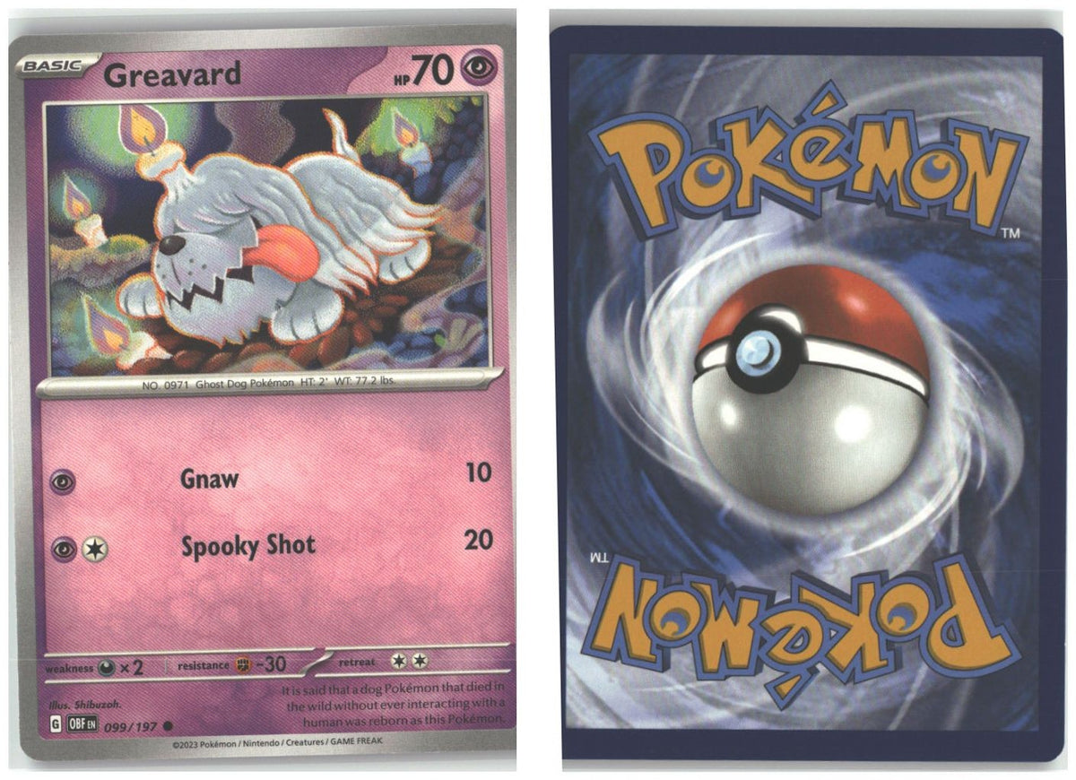 Front + Back scan