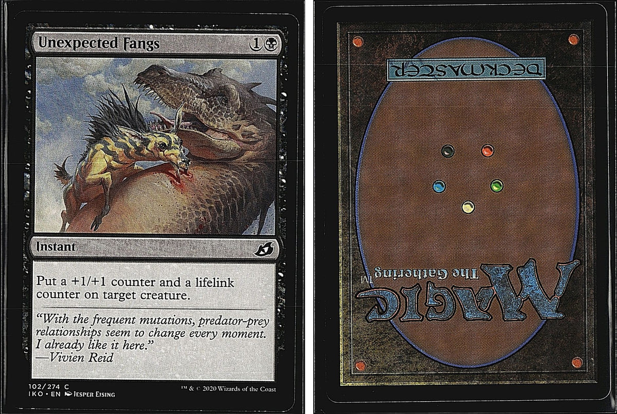 Front + Back scan