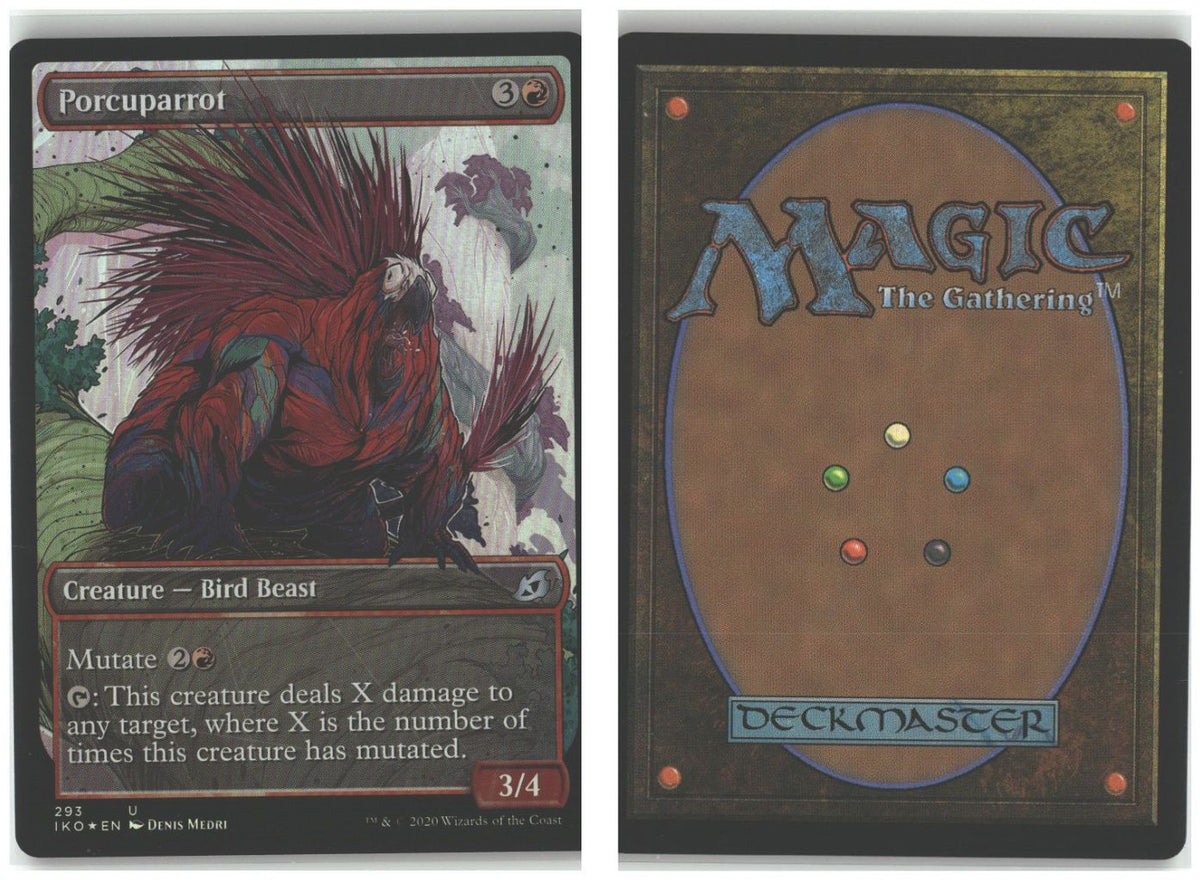 Front + Back scan