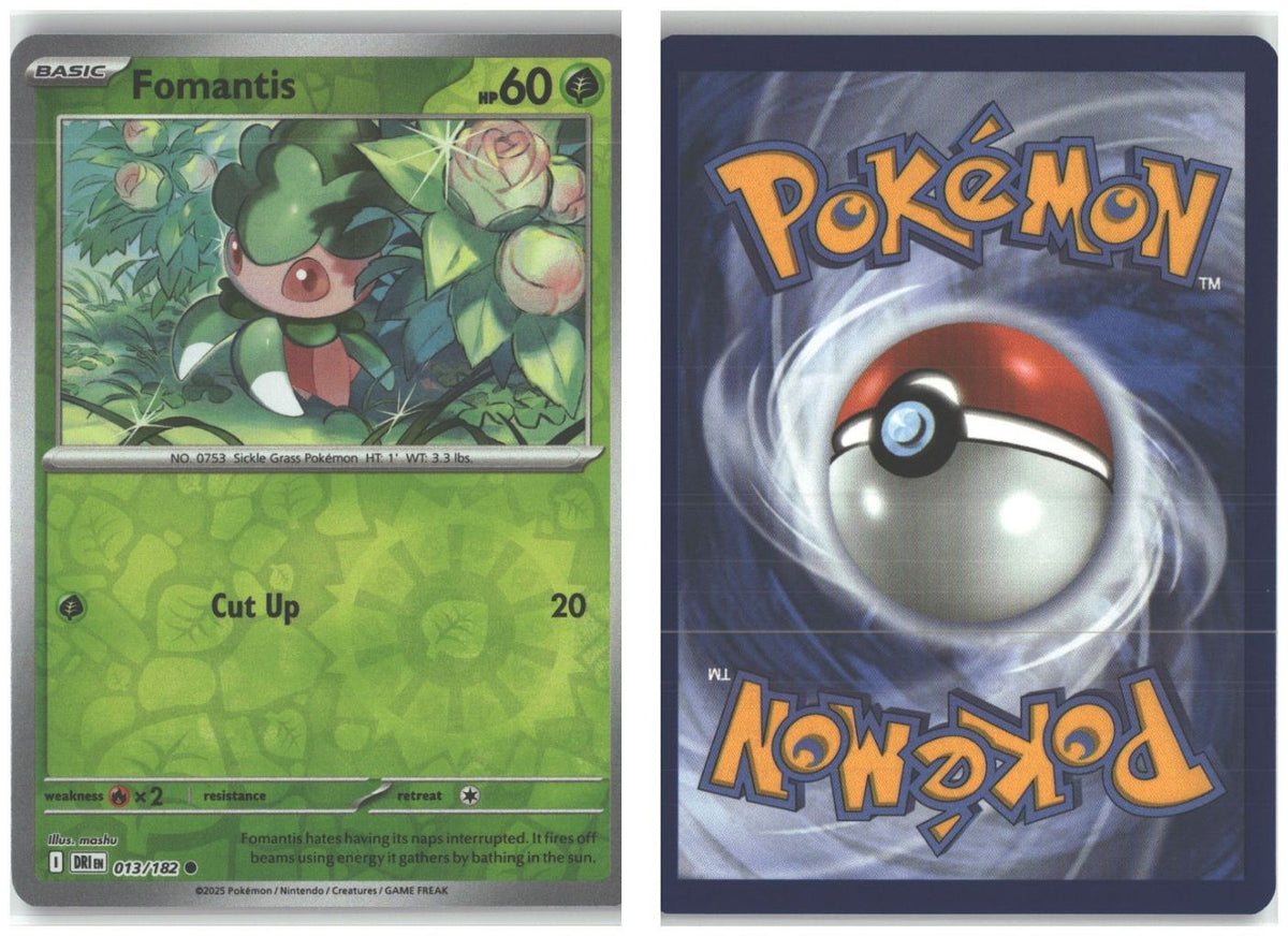 Front + Back scan