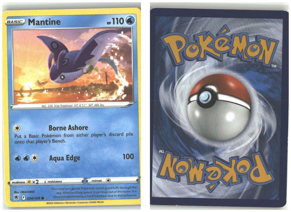 Front + Back scan