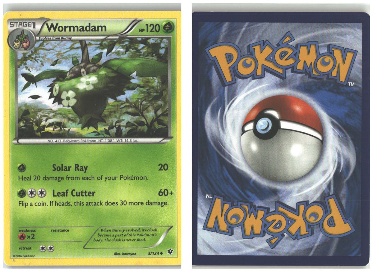 Front + Back scan