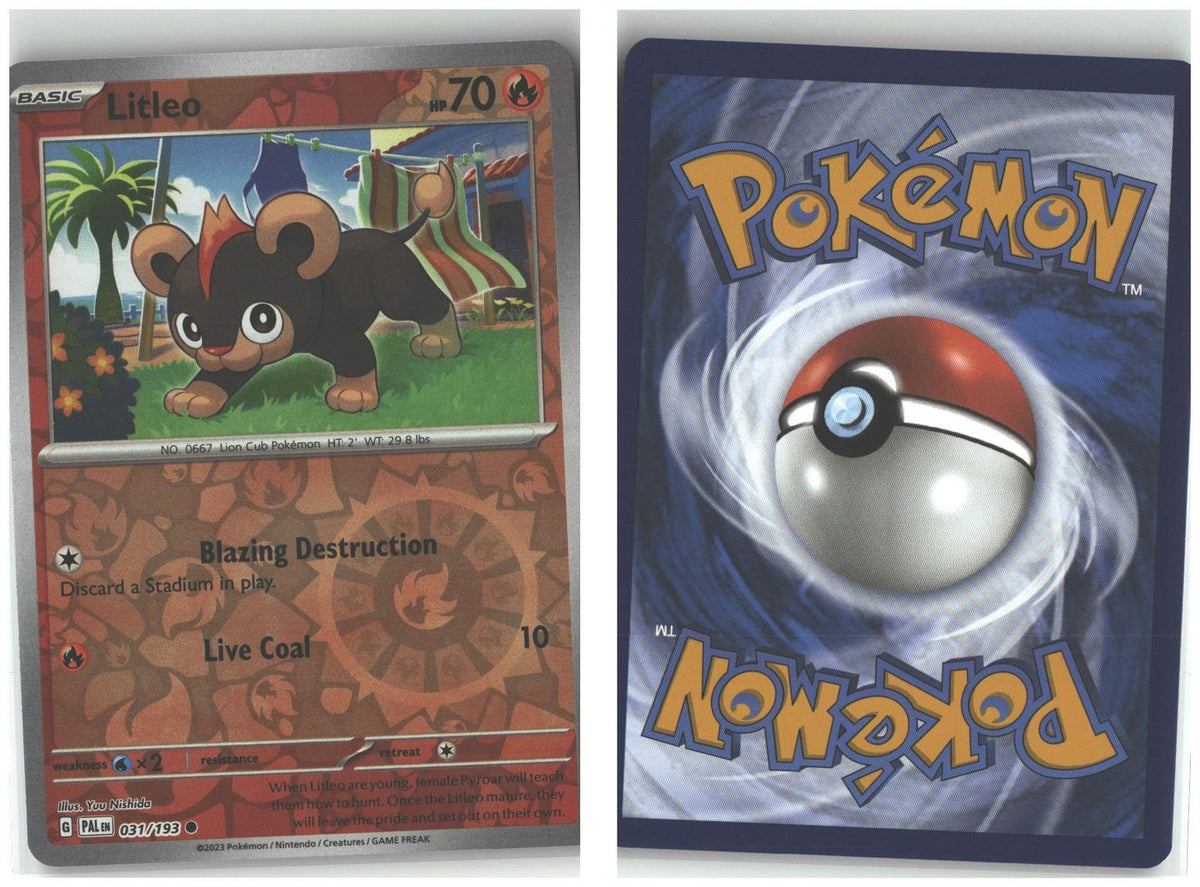 Front + Back scan