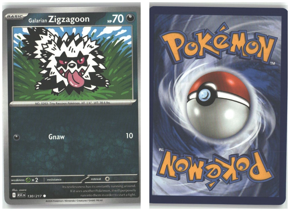 Front + Back scan