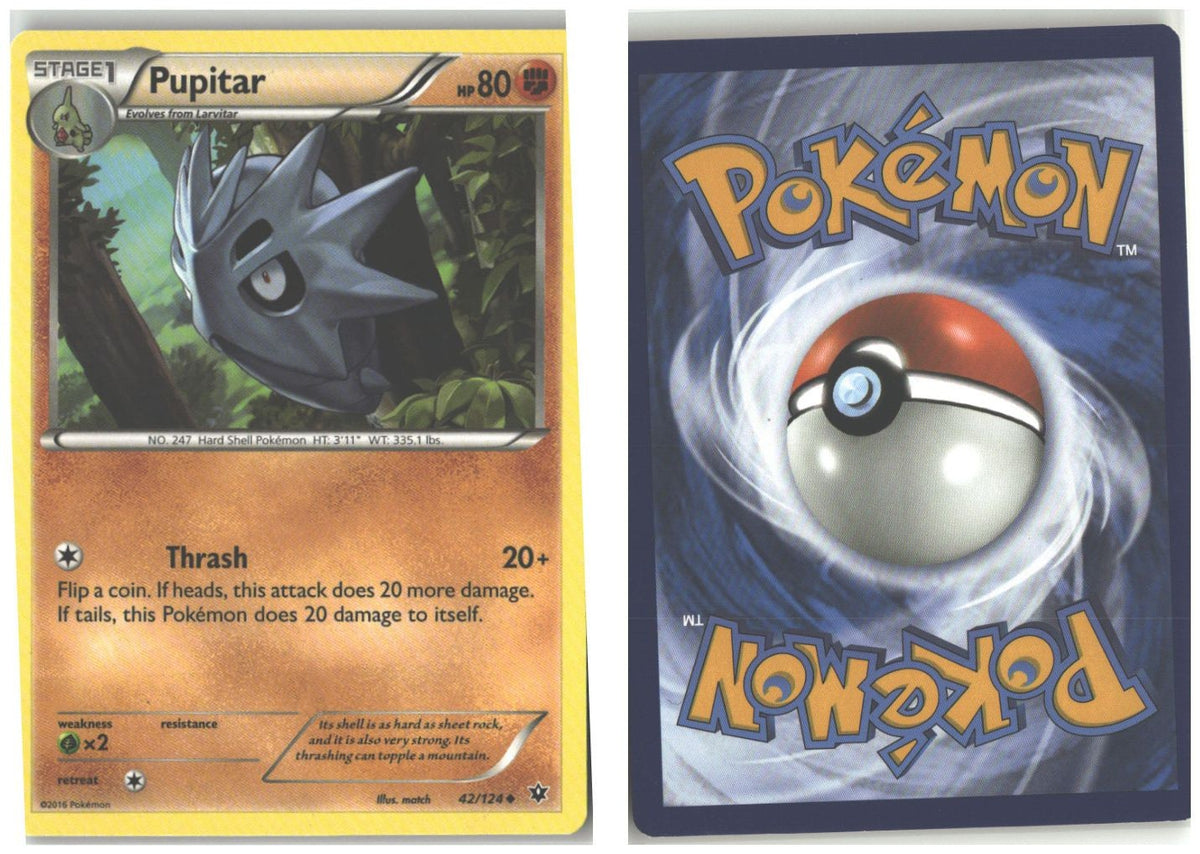 Front + Back scan