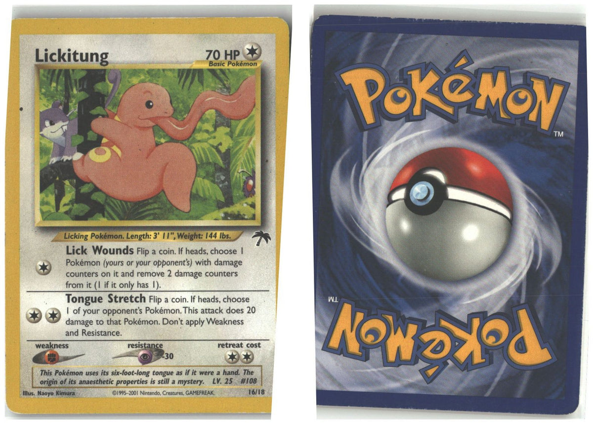 Front + Back scan