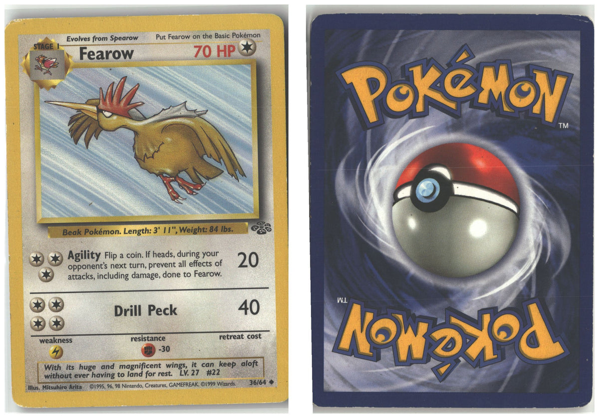Front + Back scan