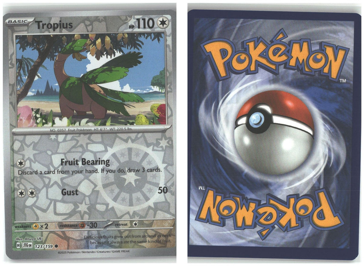 Front + Back scan