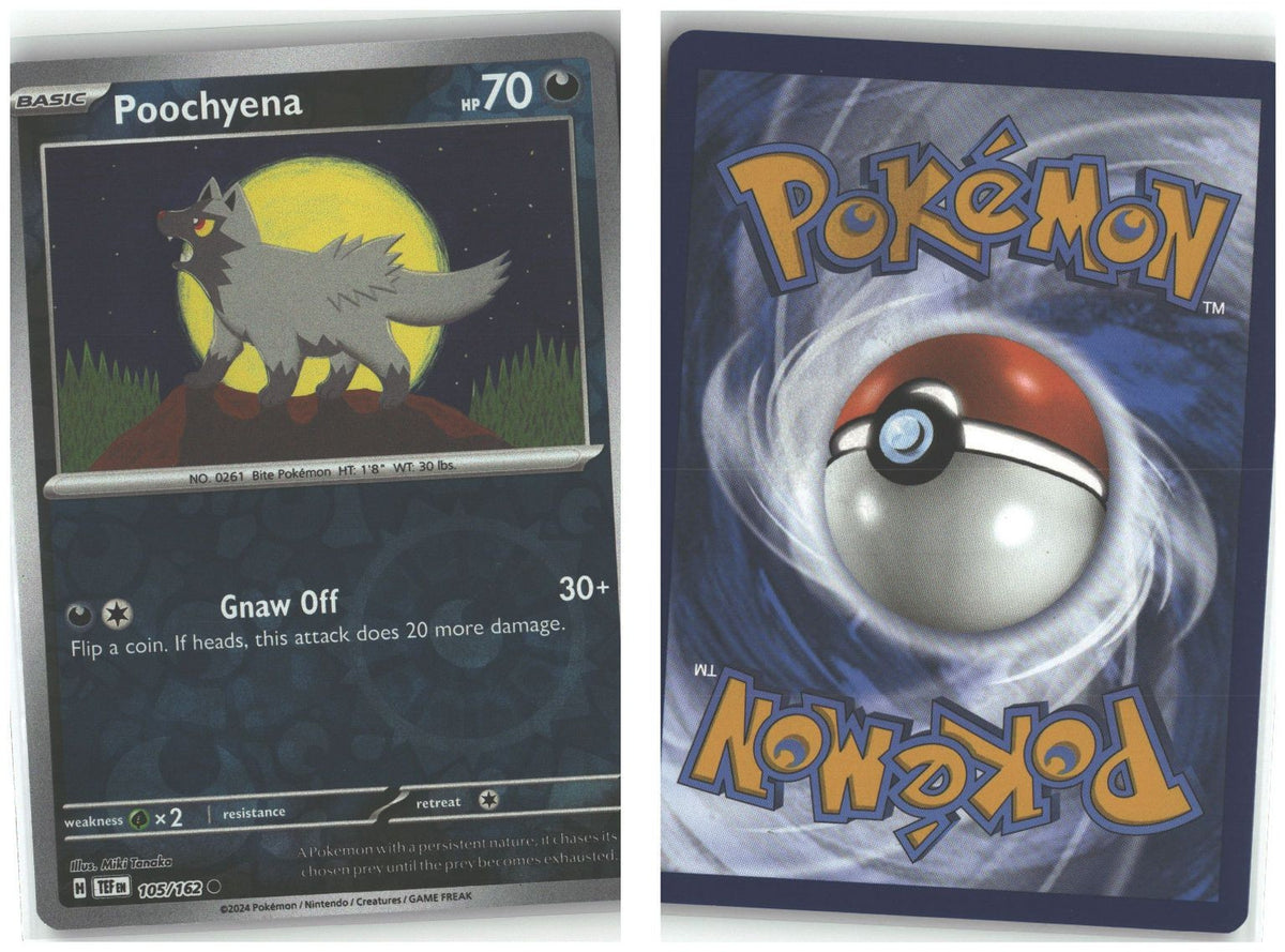 Front + Back scan
