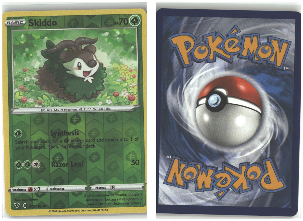 Front + Back scan