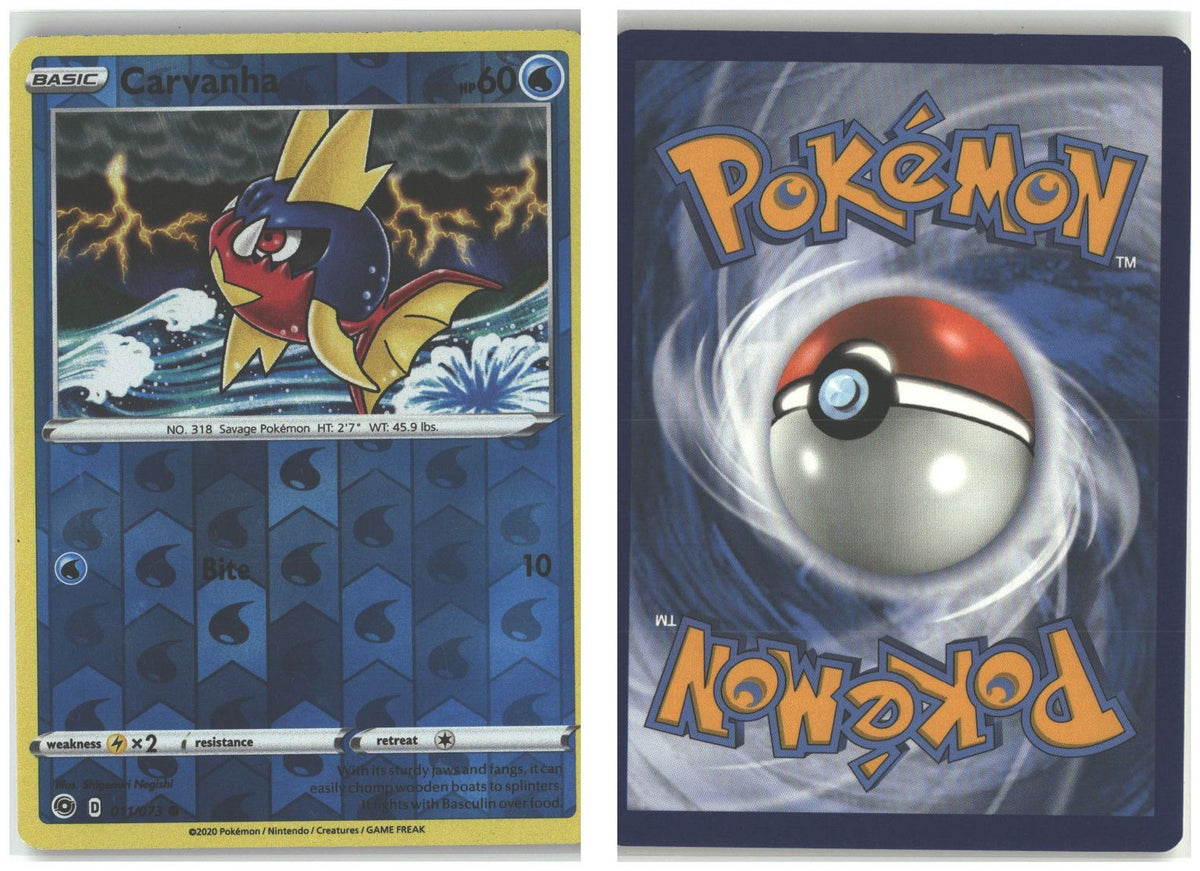 Front + Back scan