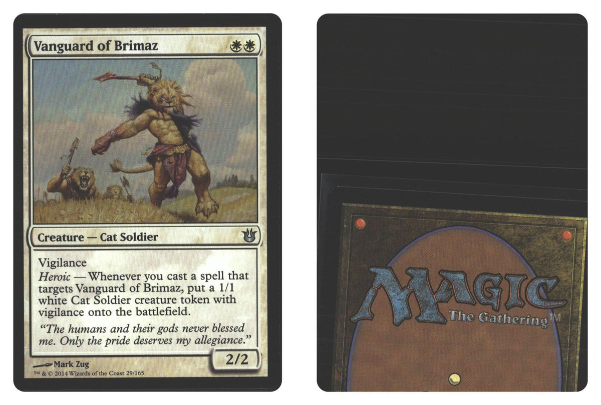 Front + Back scan