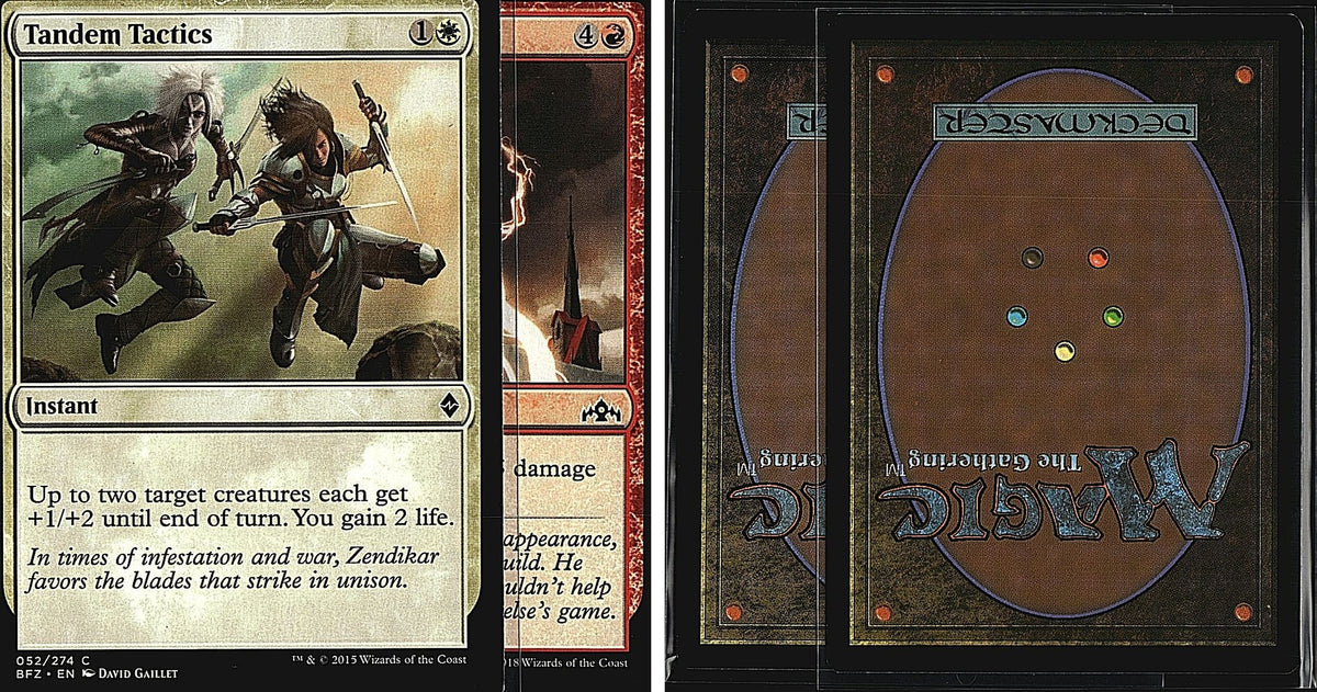 Front + Back scan