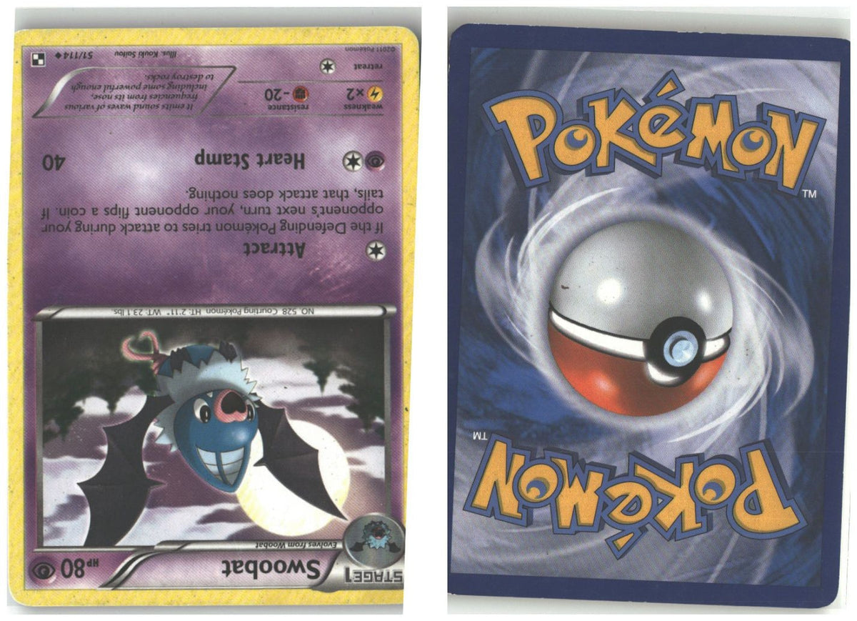 Front + Back scan