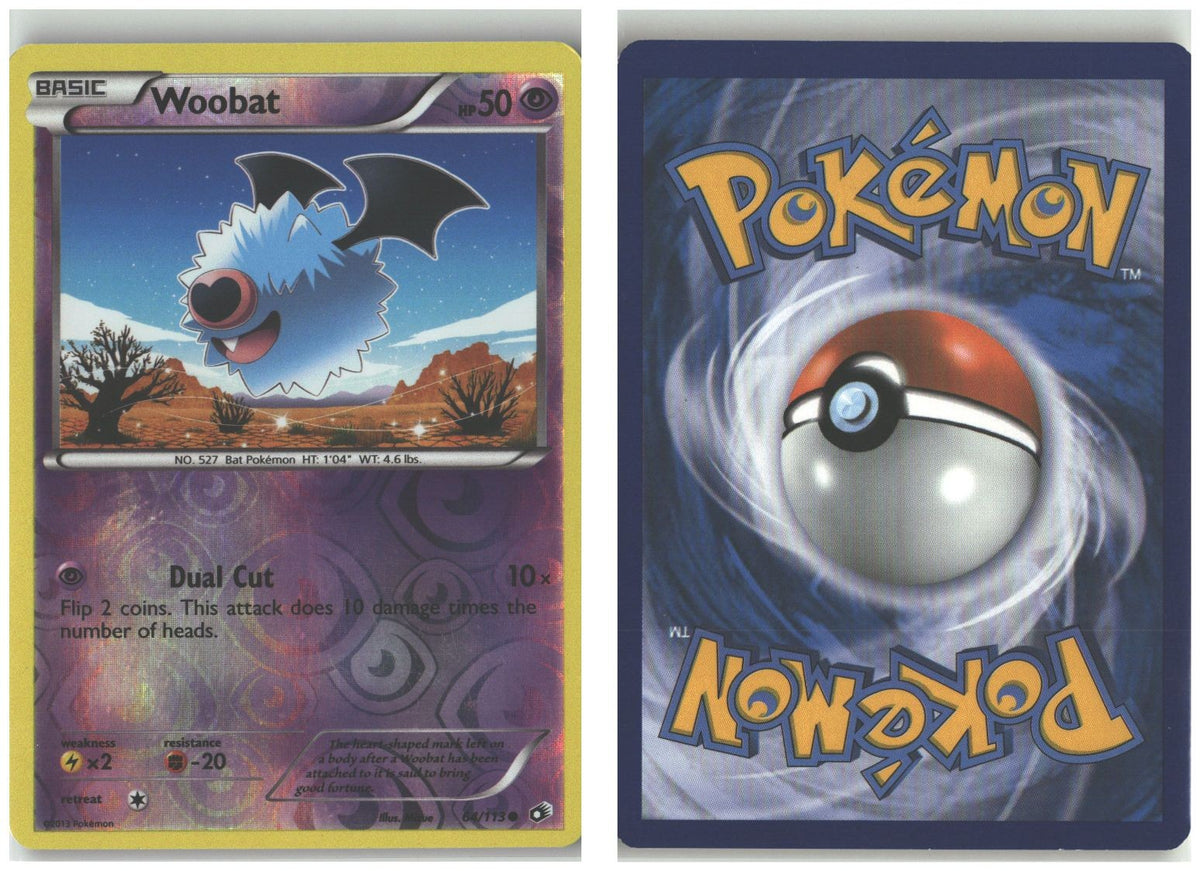 Front + Back scan