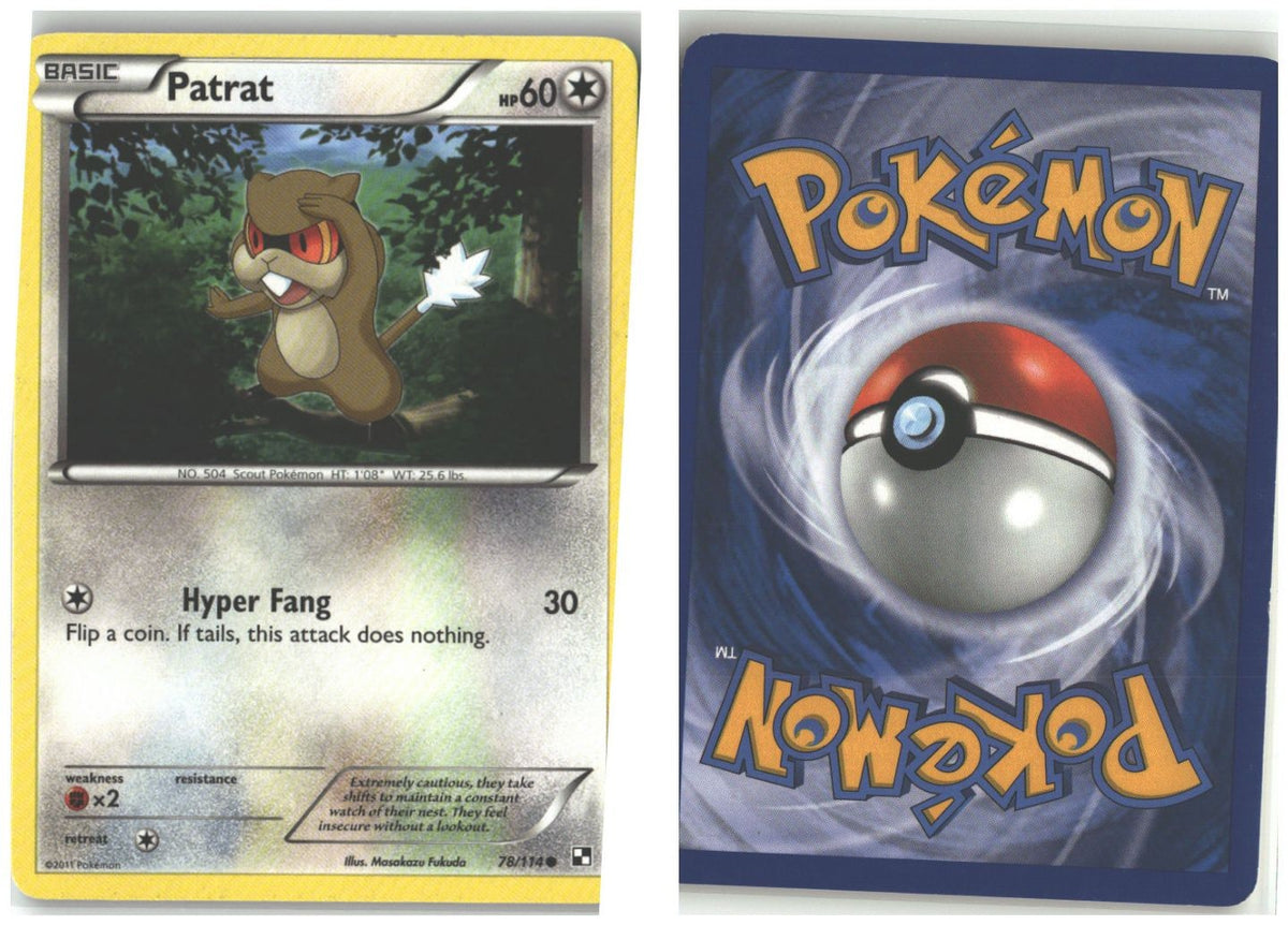 Front + Back scan