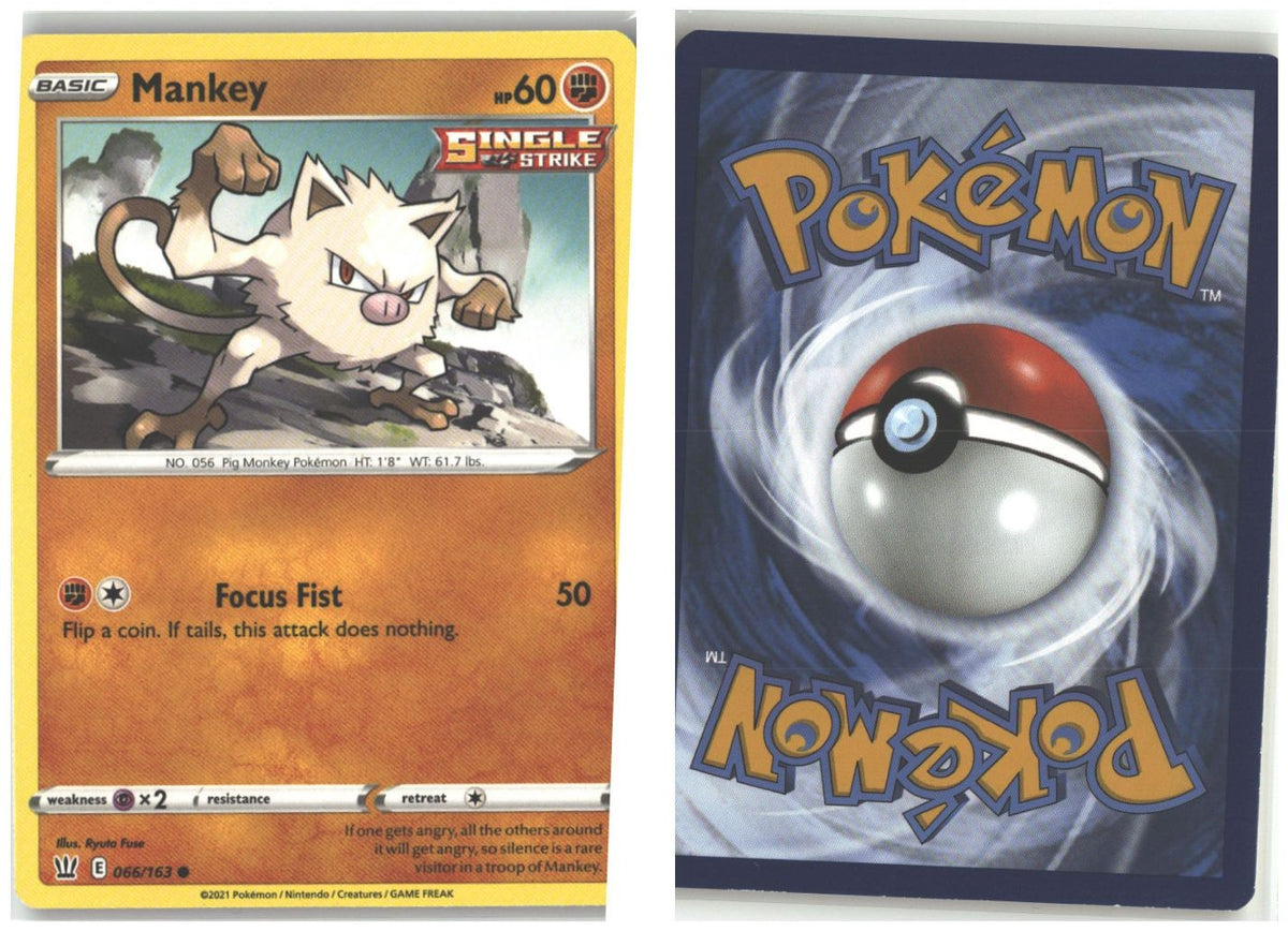 Front + Back scan