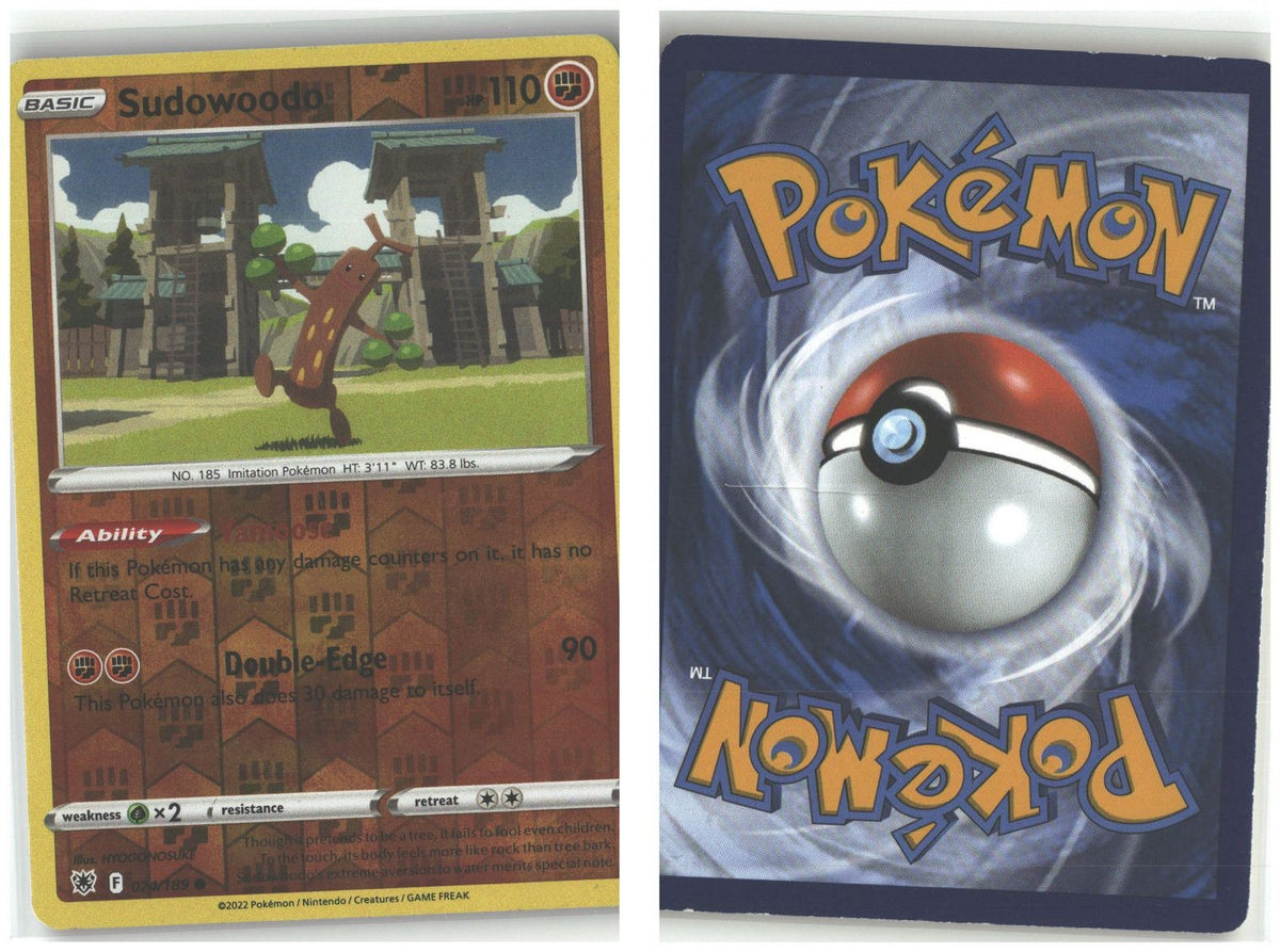 Front + Back scan