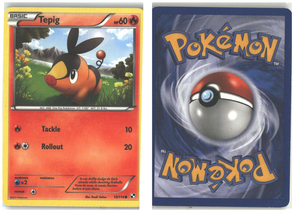 Front + Back scan