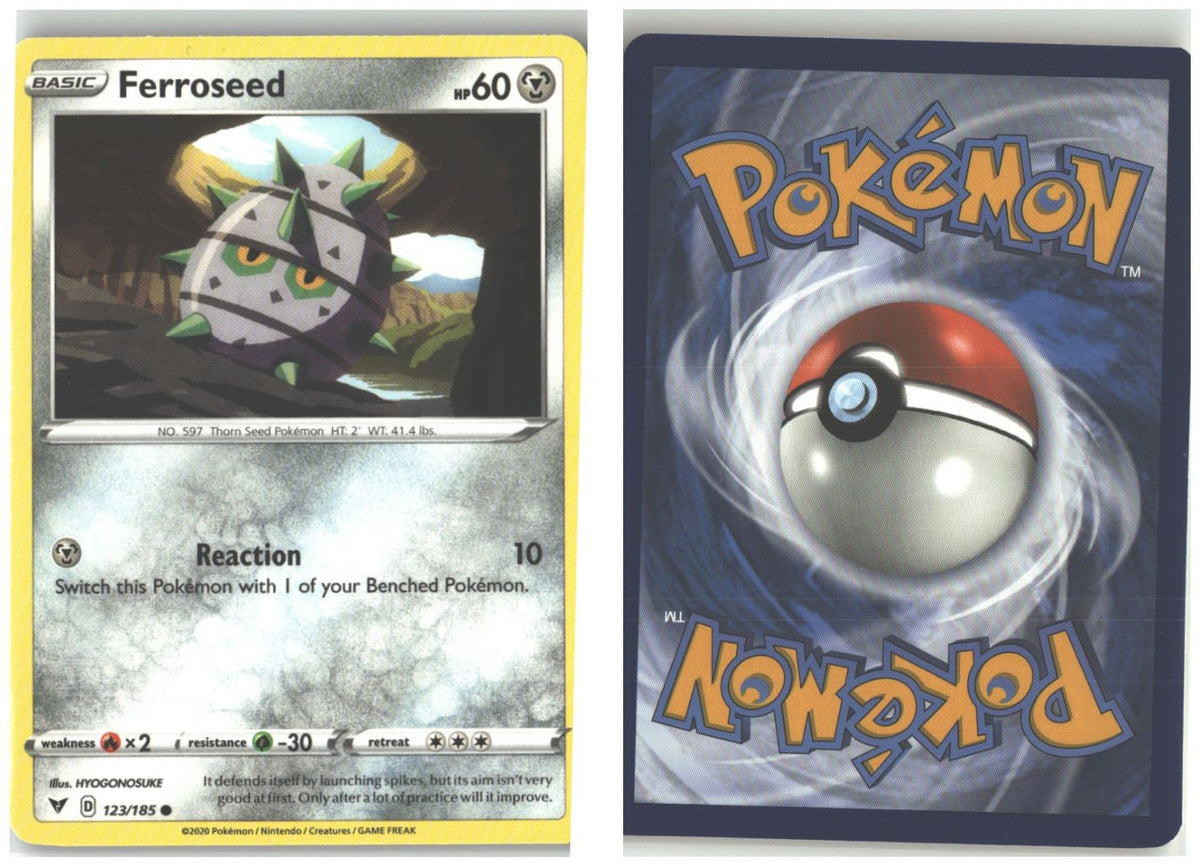 Front + Back scan