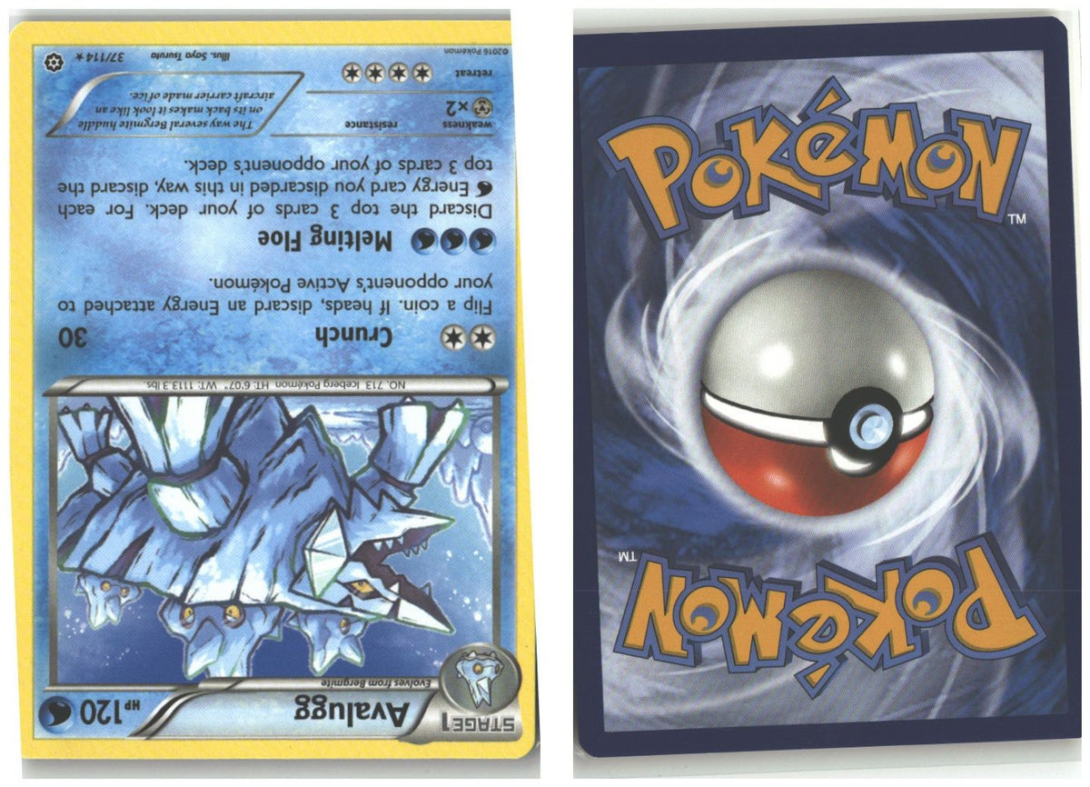 Front + Back scan