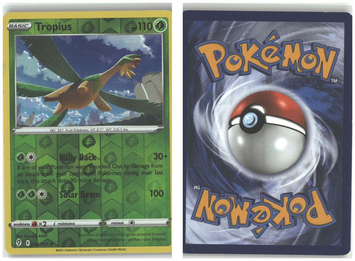 Front + Back scan