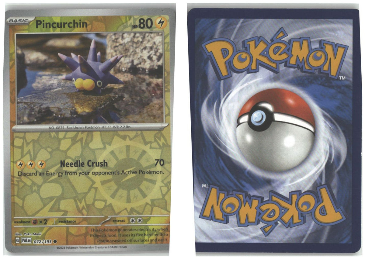 Front + Back scan