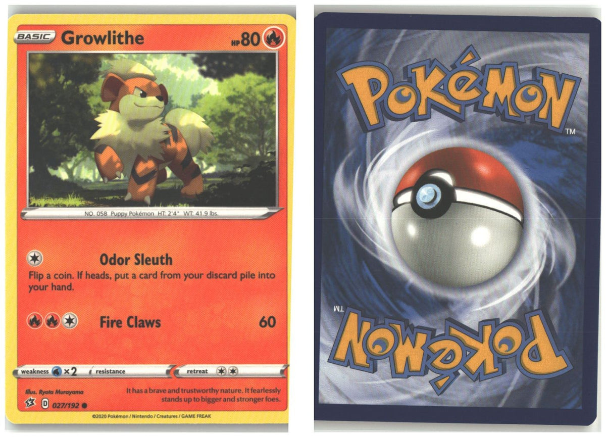 Front + Back scan