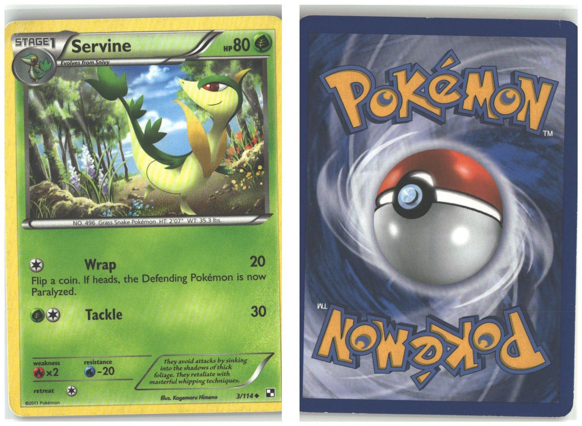 Front + Back scan