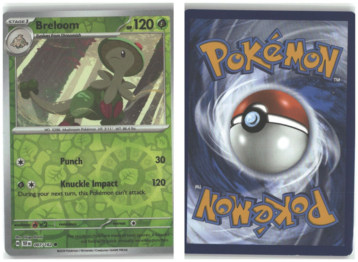 Front + Back scan