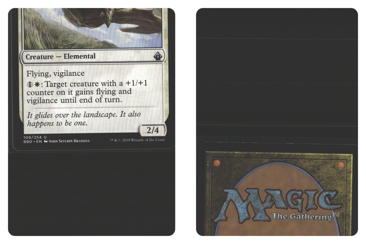Front + Back scan