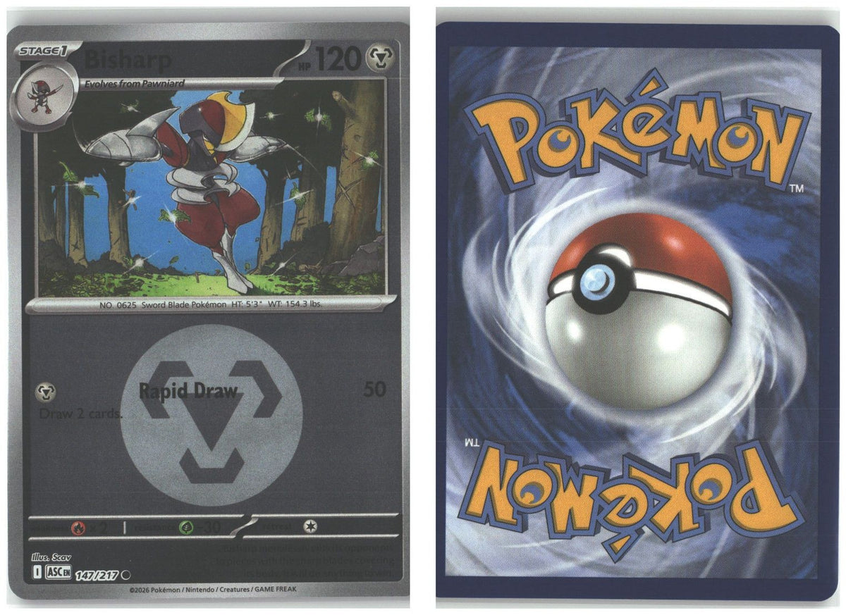 Front + Back scan
