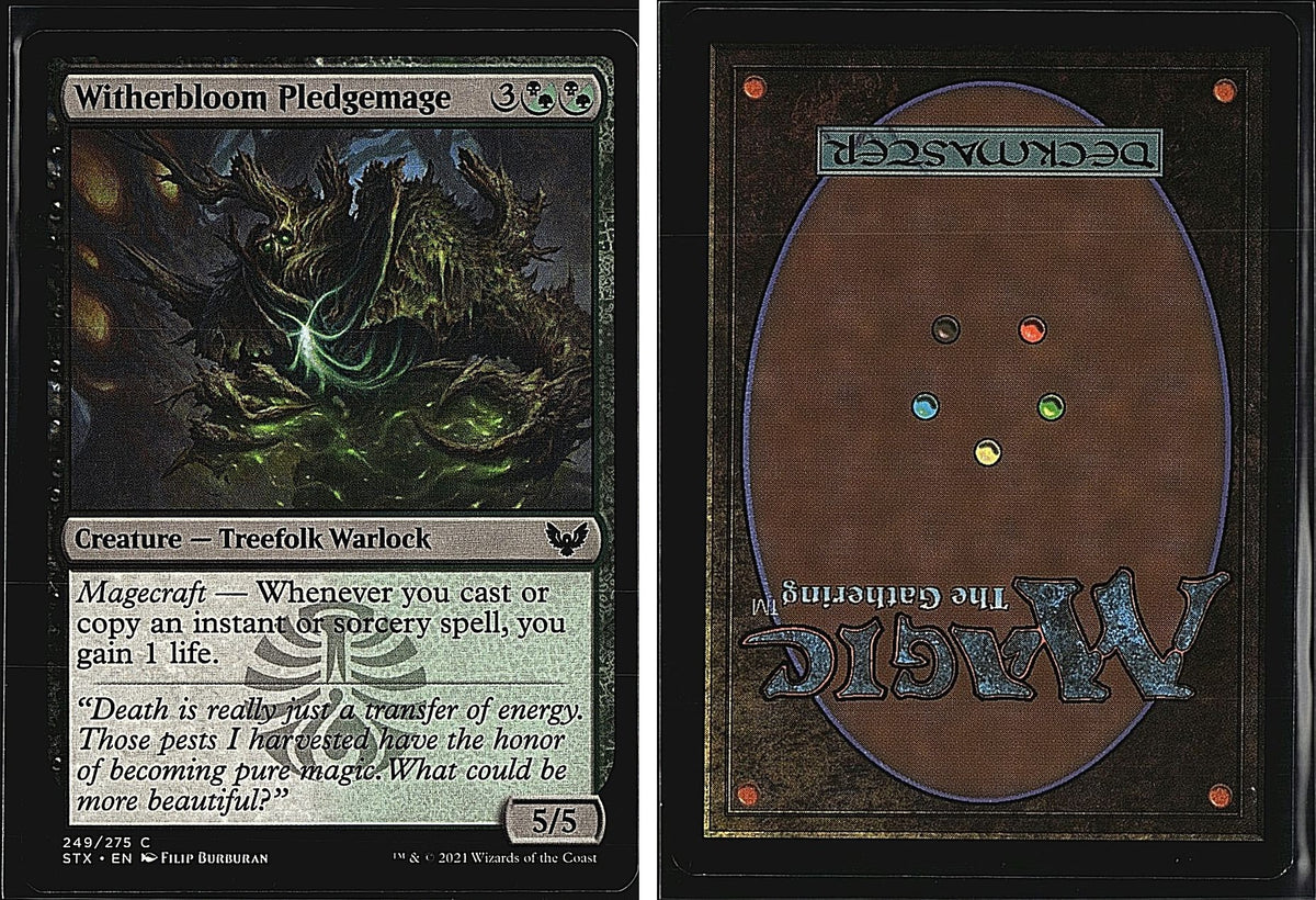 Front + Back scan