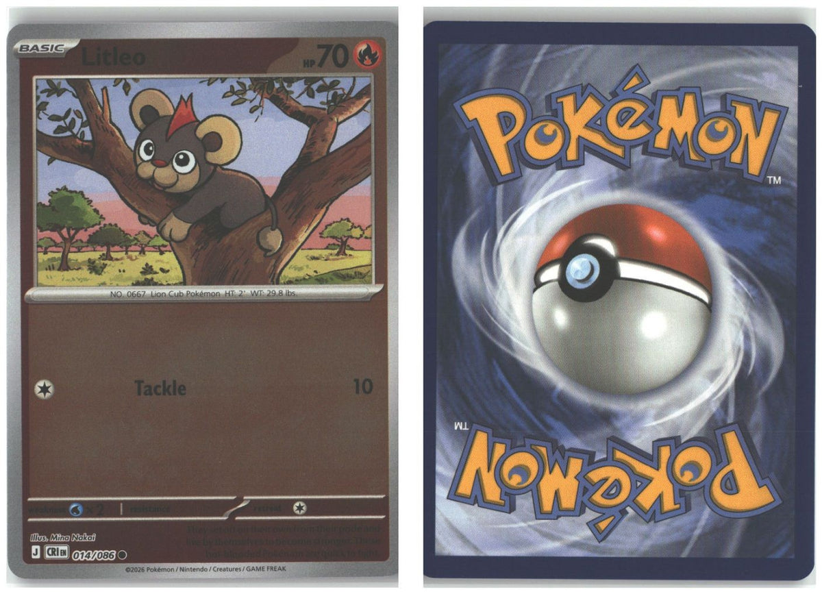 Front + Back scan