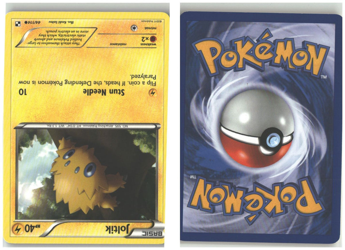 Front + Back scan