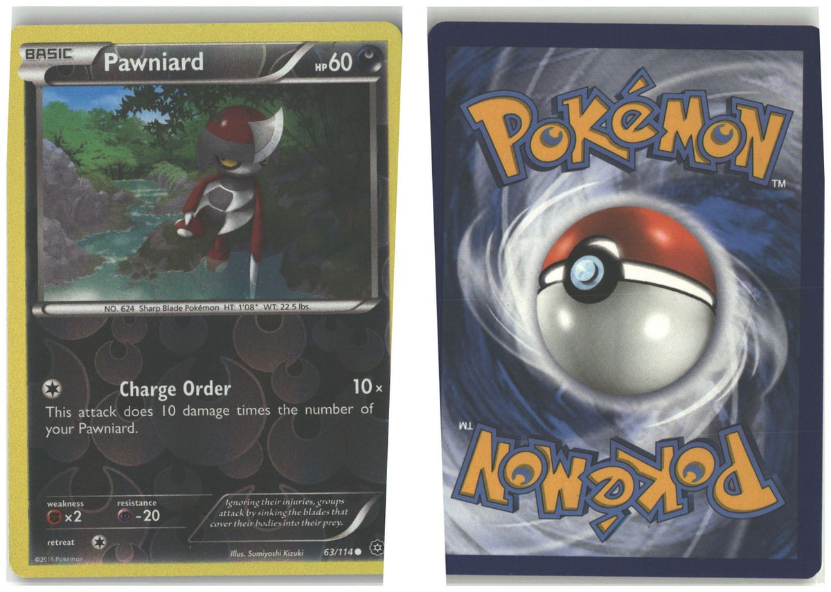 Front + Back scan
