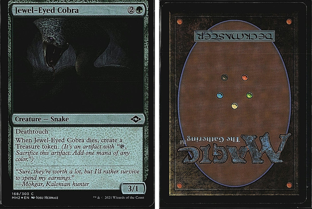 Front + Back scan