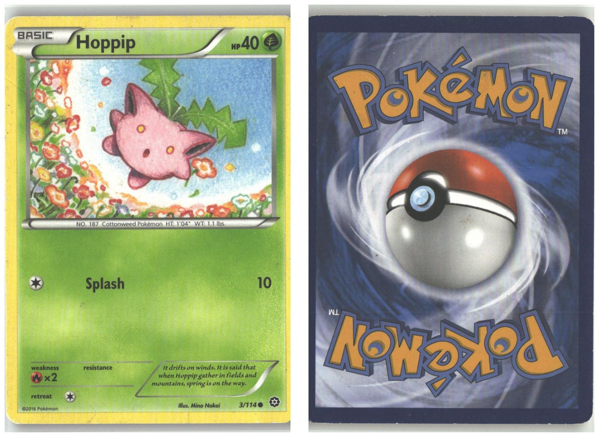 Front + Back scan