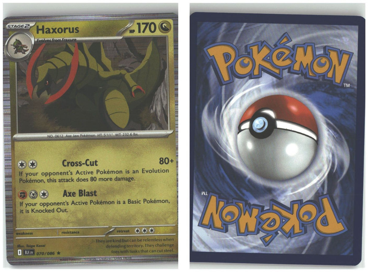 Front + Back scan