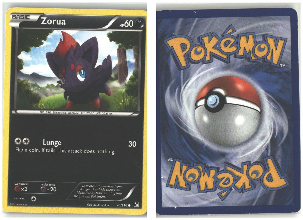 Front + Back scan