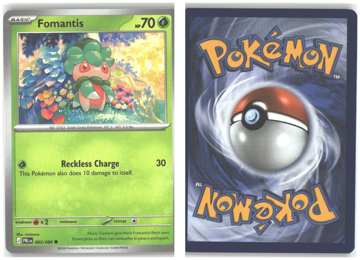 Front + Back scan