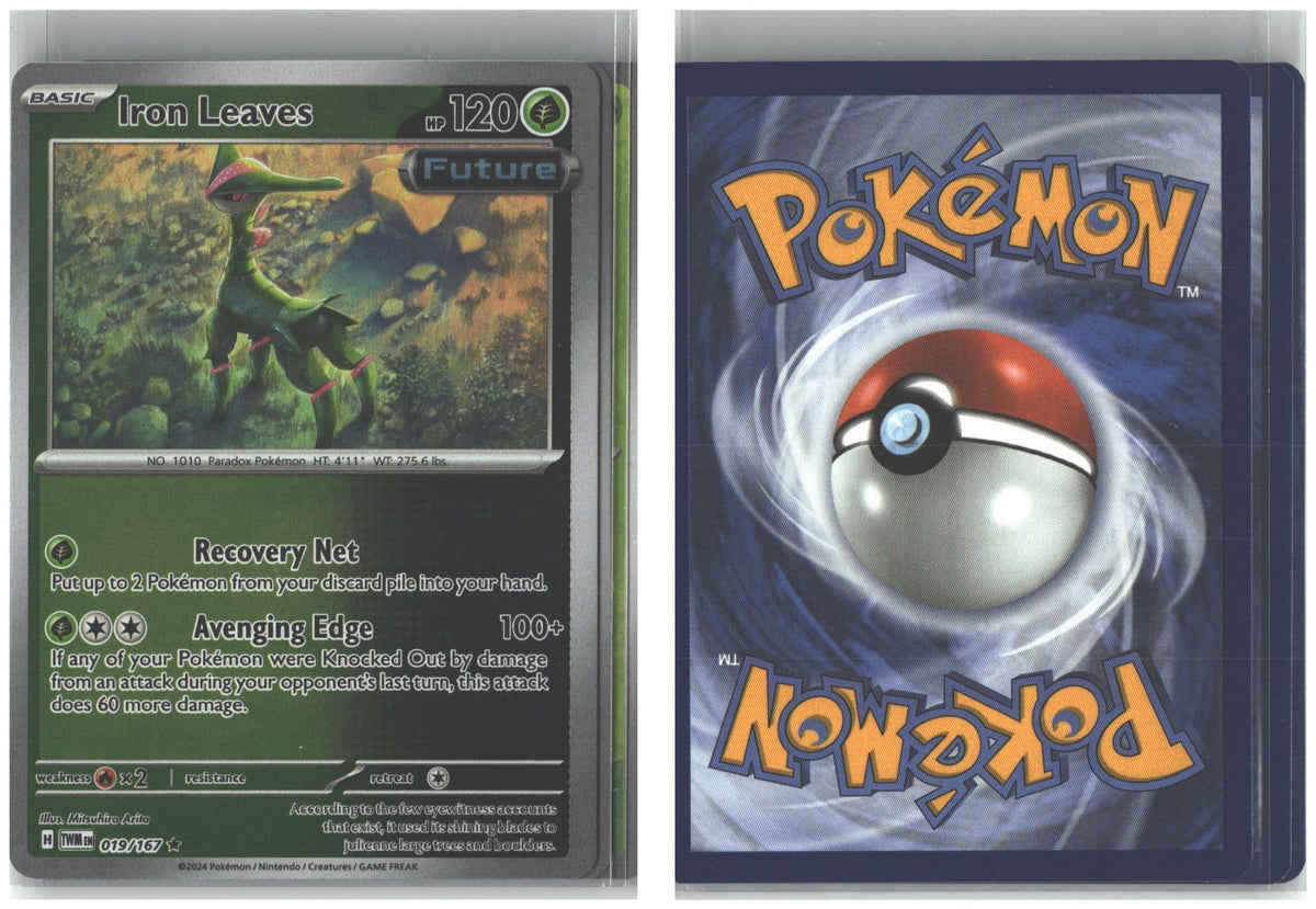 Front + Back scan