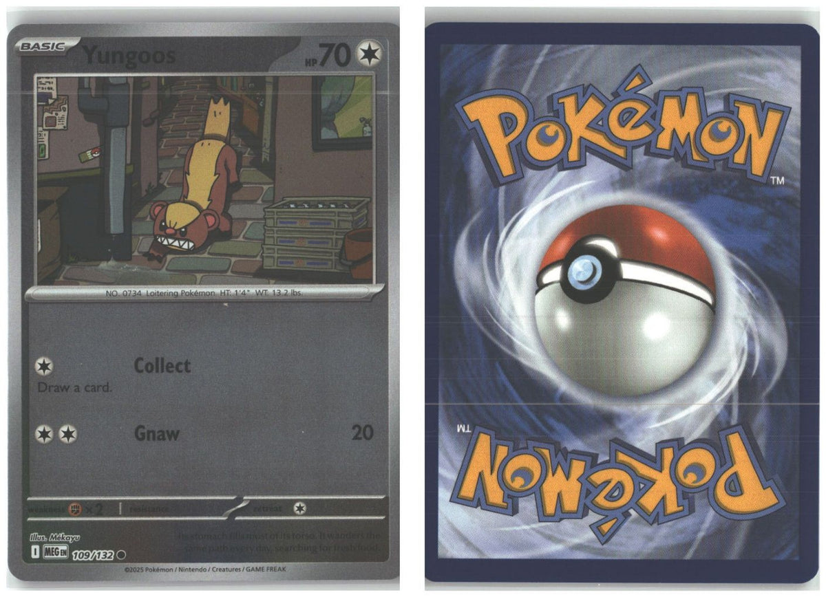 Front + Back scan