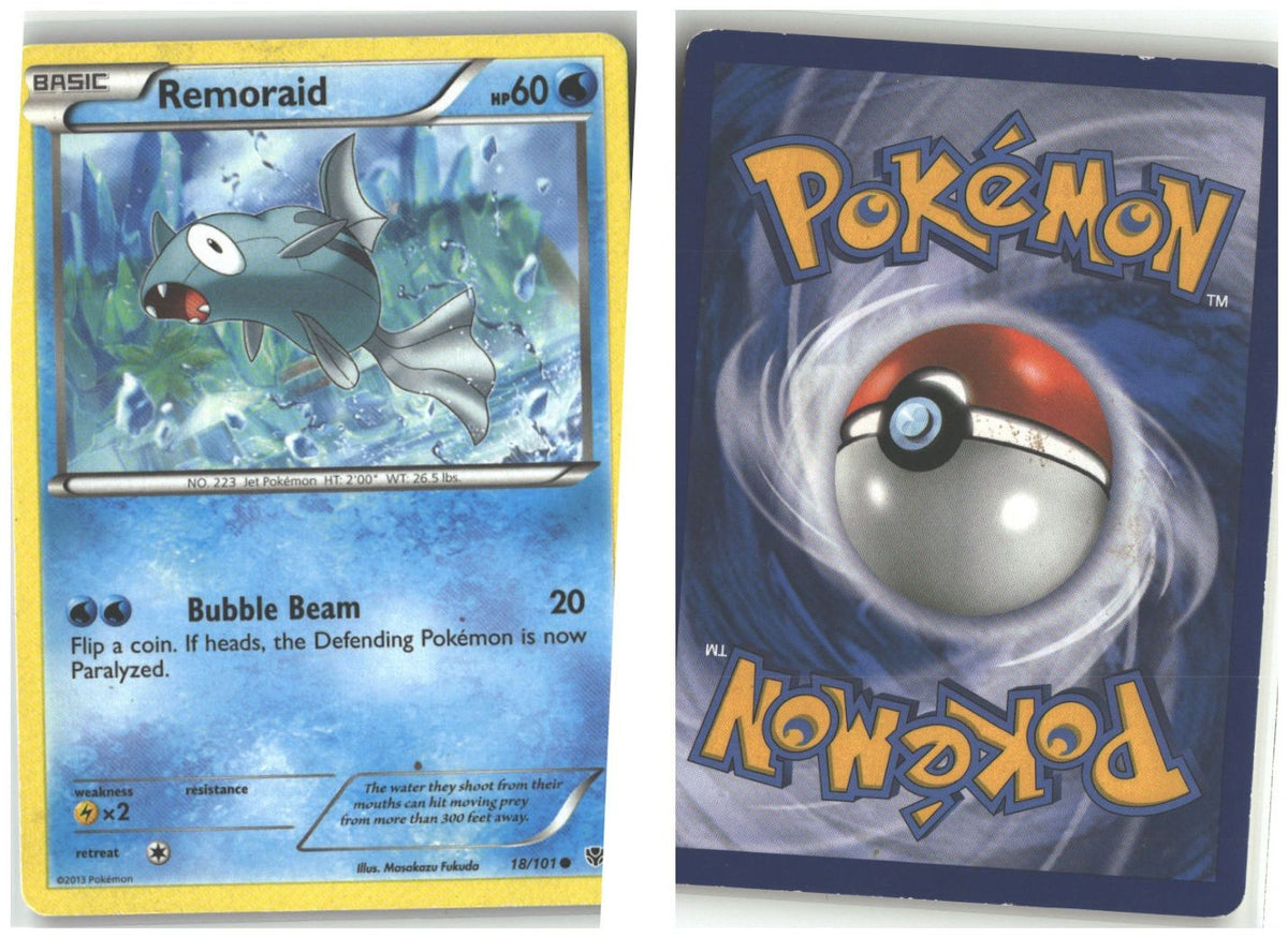 Front + Back scan