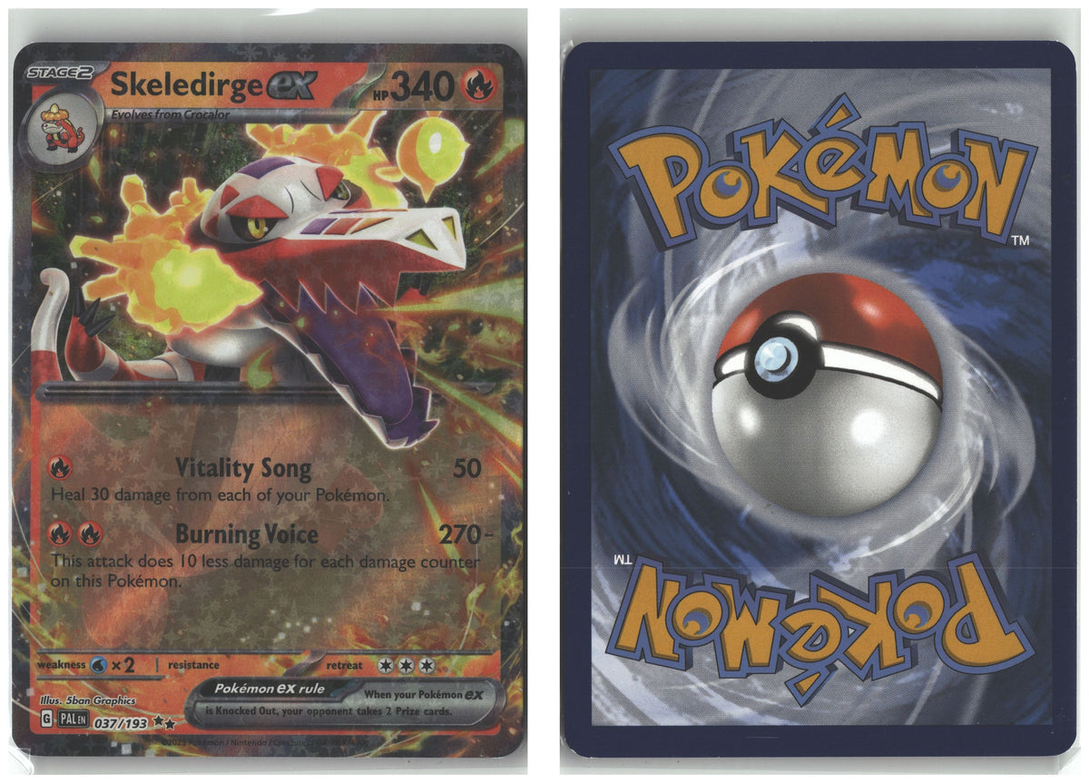 Front + Back scan