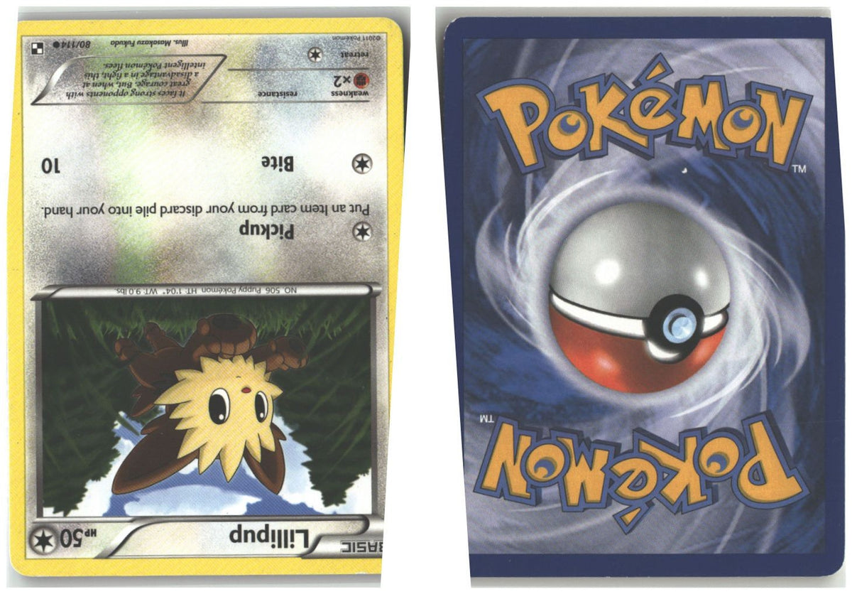 Front + Back scan