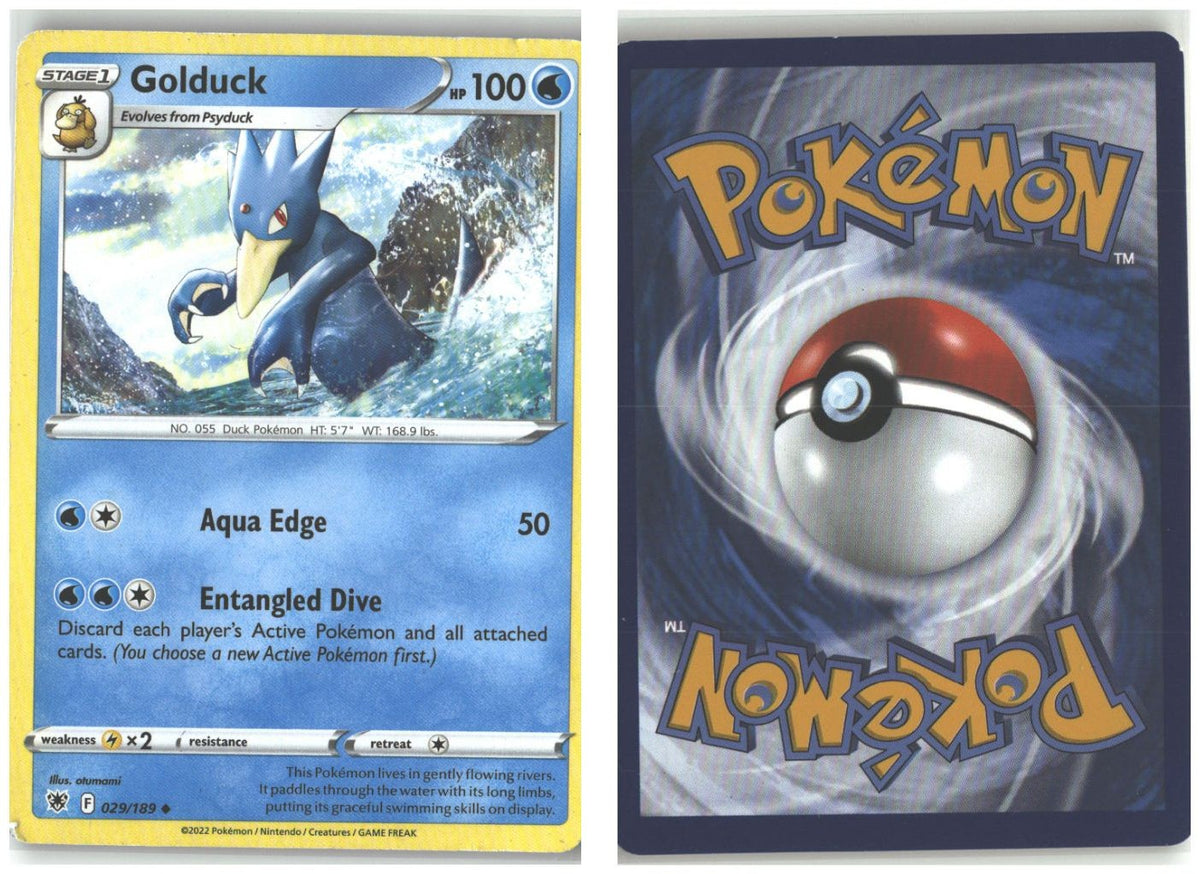 Front + Back scan
