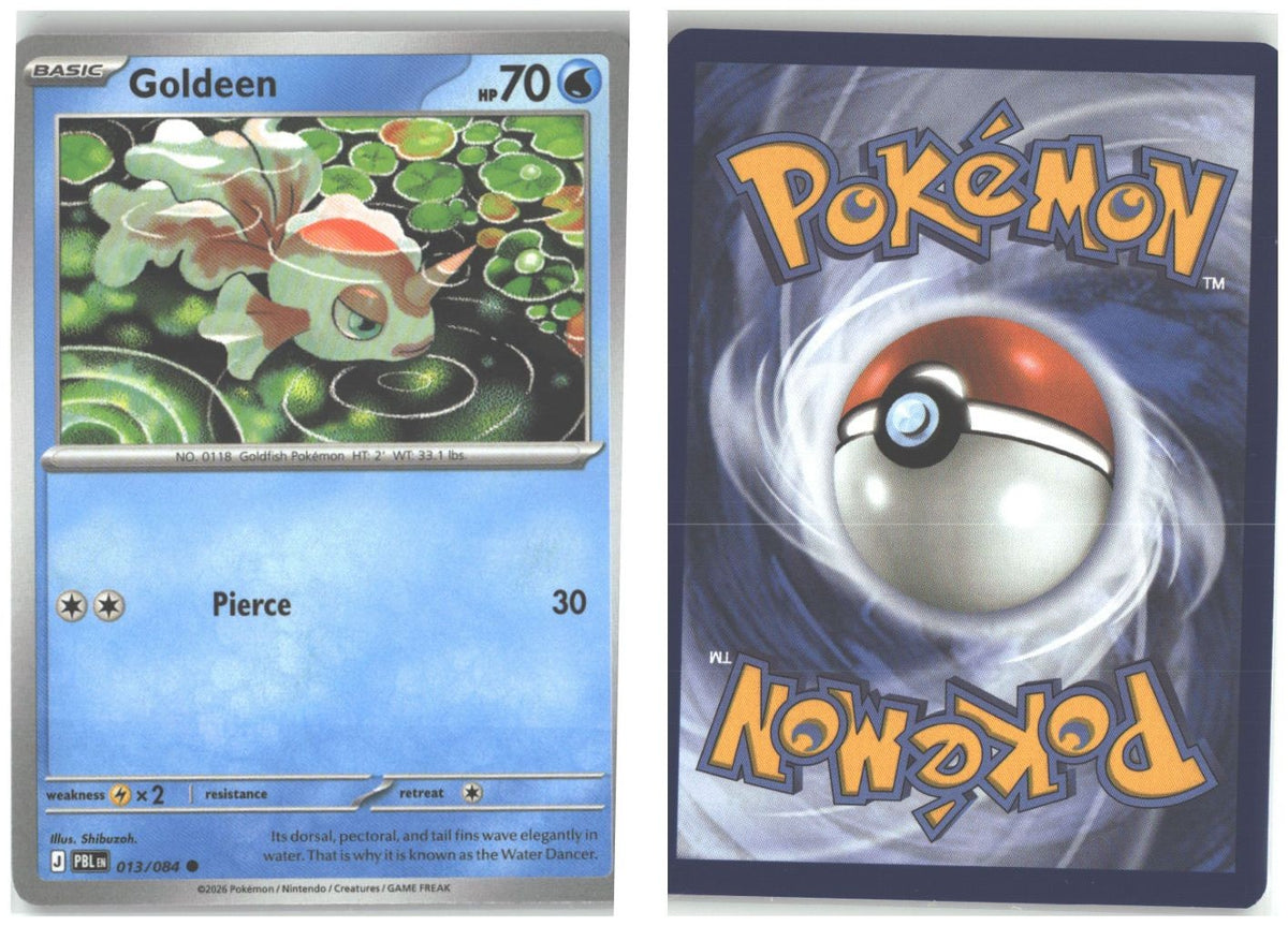 Front + Back scan