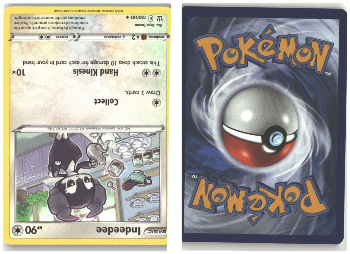 Front + Back scan