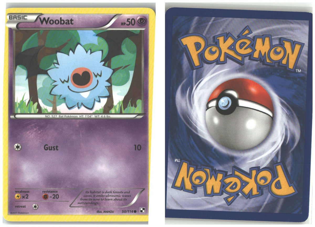 Front + Back scan